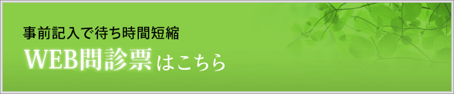 WEB問診票をご利用になる方へ